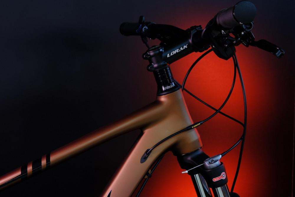 LORAK Sel 9750 SE Матовый Коричневый 23р (на рост 189-205)