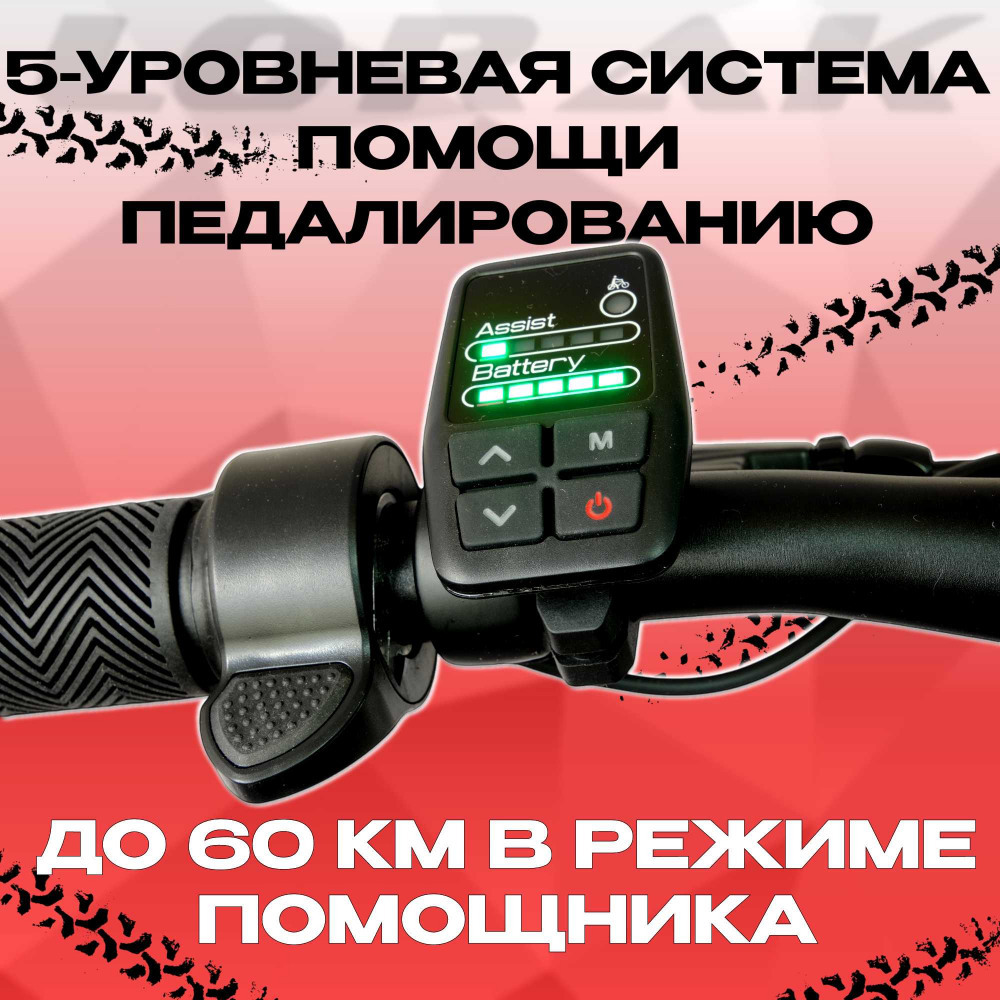 LORAK E-550 (29)